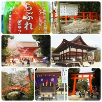 京都パワースポット桜巡り