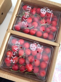 さくらんぼ到着