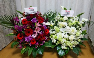 お祝いのお花が届きました♡