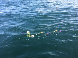加太の海に散骨