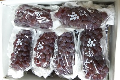 季節の果物お取り寄せ